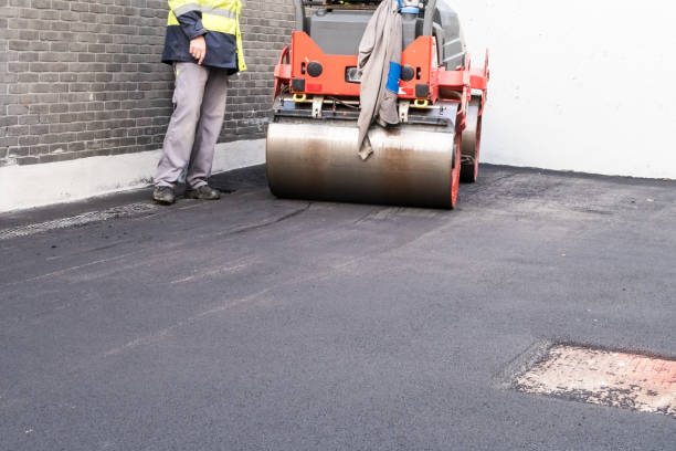 Best Driveway Drainage Solutions  in South Apopka, FL